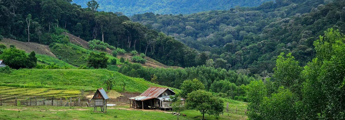 Măng Đen cover photo