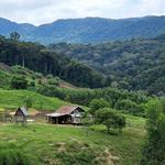 Măng Đen - photo 1