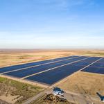 Allied Weed Control - photo 1