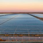 Allied Weed Control - photo 3