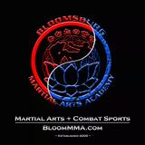 Bloomsburg MMA  - Martial Arts in Bloomsburg