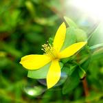 Great Spirit Farm - photo 1