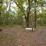 Great Spirit Farm - photo 4