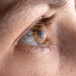 Discover Vision - photo 3