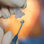 Discover Vision - photo 6