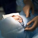 Discover Vision - photo 10