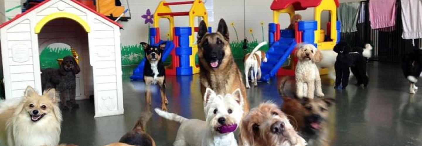 Woof Tone Inn & Spa cover photo