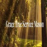 Grace Tree Service Mason - Tree Services in Mason