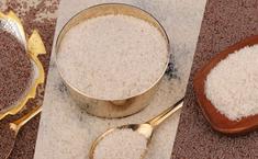 Gayatri Psyllium - Agricultural Products & Services