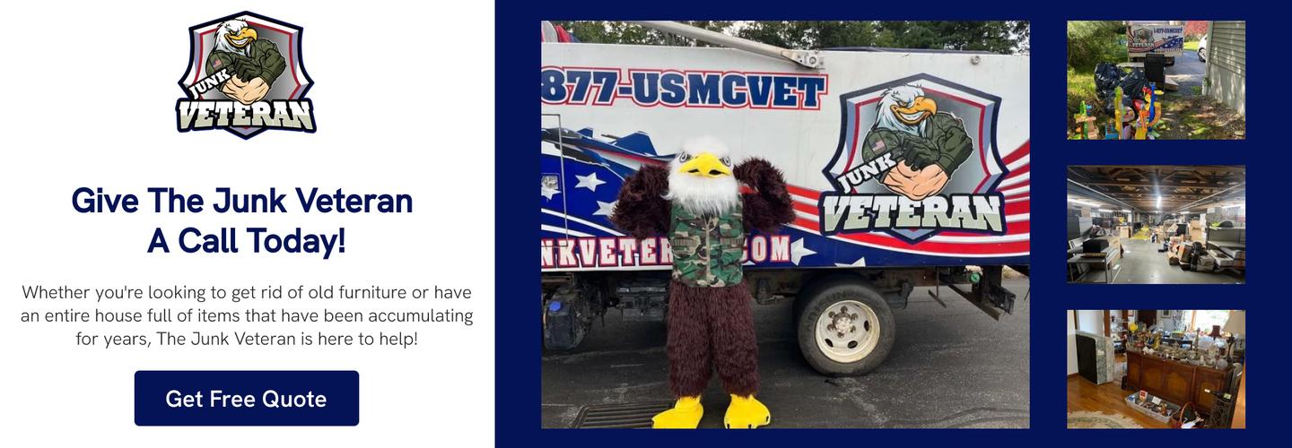 The Junk Veteran cover photo