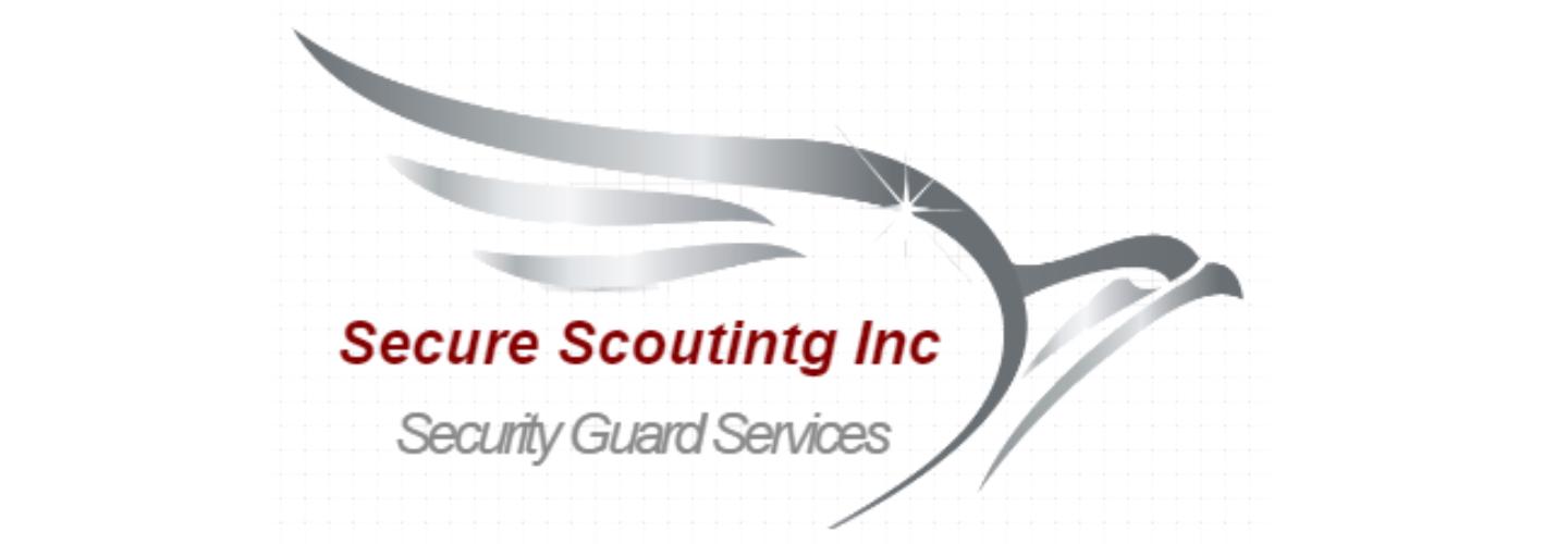 Secure Scouting Inc cover photo