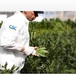 CSC School - photo 1