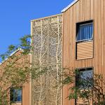 Davidson Timber - photo 1