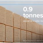 Davidson Timber - photo 3