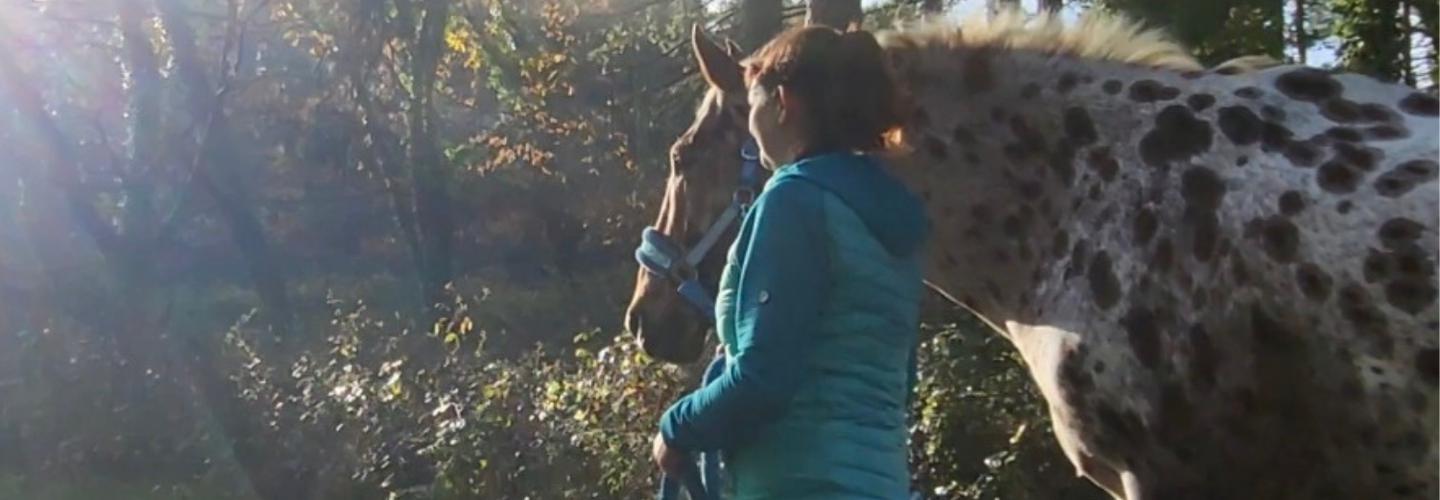 Horse Care and Connection cover photo