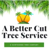 Hawthorne's Tree Service Lakeland FL - Tree Services in Lakeland