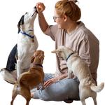 Urbanvet - photo 3