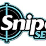 Snipe Website Design and SEO - Web Design & Development in Palm Desert