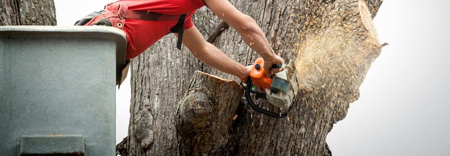 Veterans Land Service cover photo