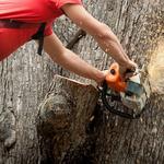 Veterans Land Service - photo 1