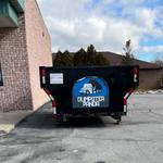 Dumpster Panda - photo 2