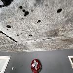 RestoPros of Northeast Georgia - photo 3