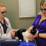 Beville Animal Hospital - photo 5