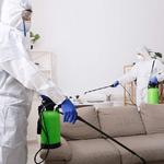 Local Pest Control Canberra - photo 4