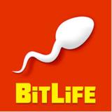 BitLife  - Escape Games in Amboy