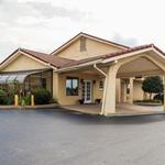 Palm tree inn - photo 1