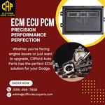 CLIFFORD AUTO PARTS - photo 1