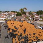 Roofer Bonita Springs - photo 1