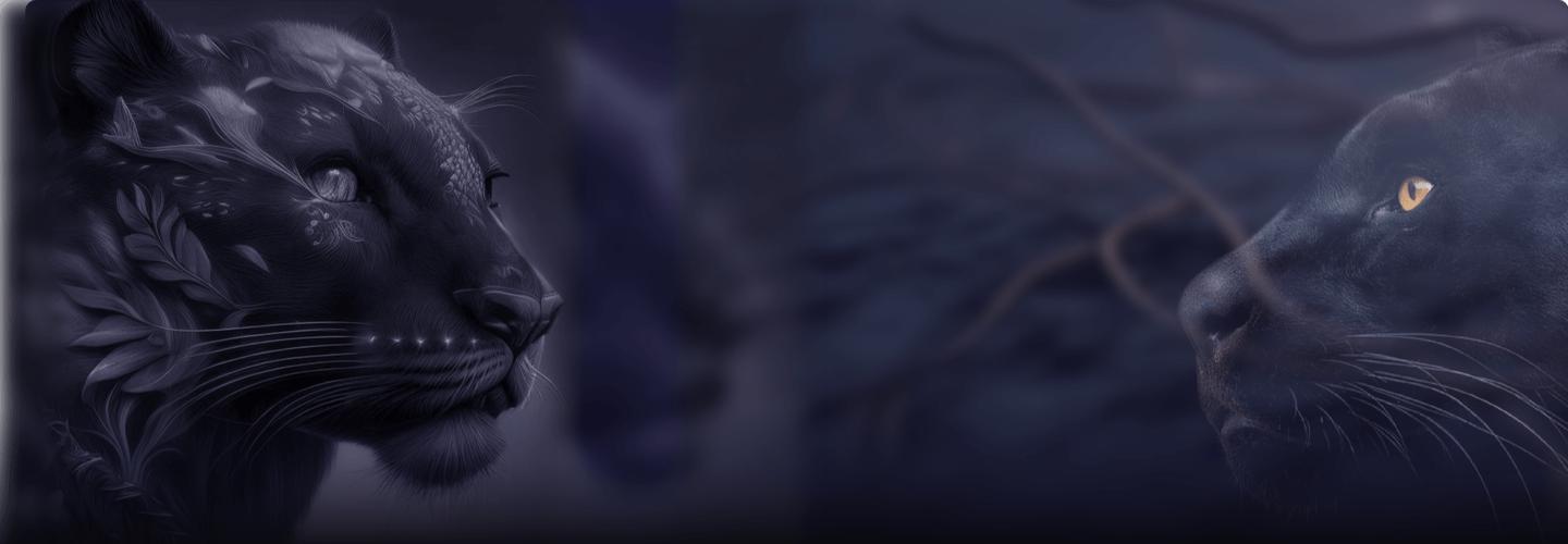 PantherBuy cover photo