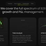 CEO Playbooks - photo 1