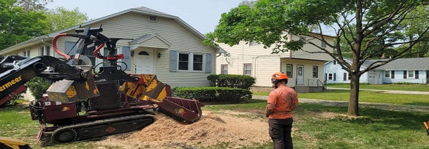 Roque Tree Service cover photo