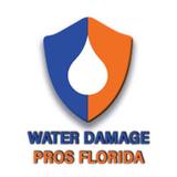 Water Damage Pros Tampa, FL - Waste Removal Services & Management in Tampa