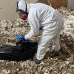 Water Damage Pros Tampa, FL - photo 2