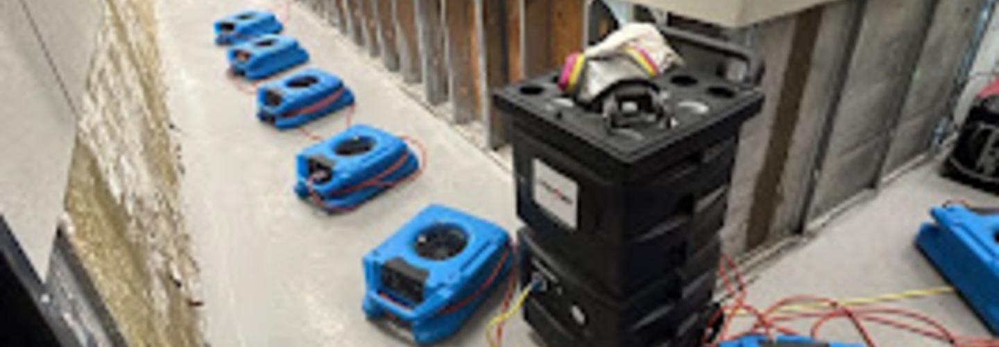 Water Damage Pros Tampa, FL cover photo