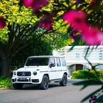 Mint Rides - photo 3