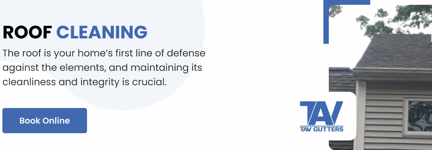 Tav Gutters cover photo