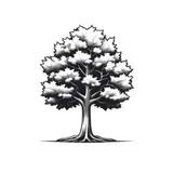 Good Faith Timber Buyers - Tree Services in Wooster