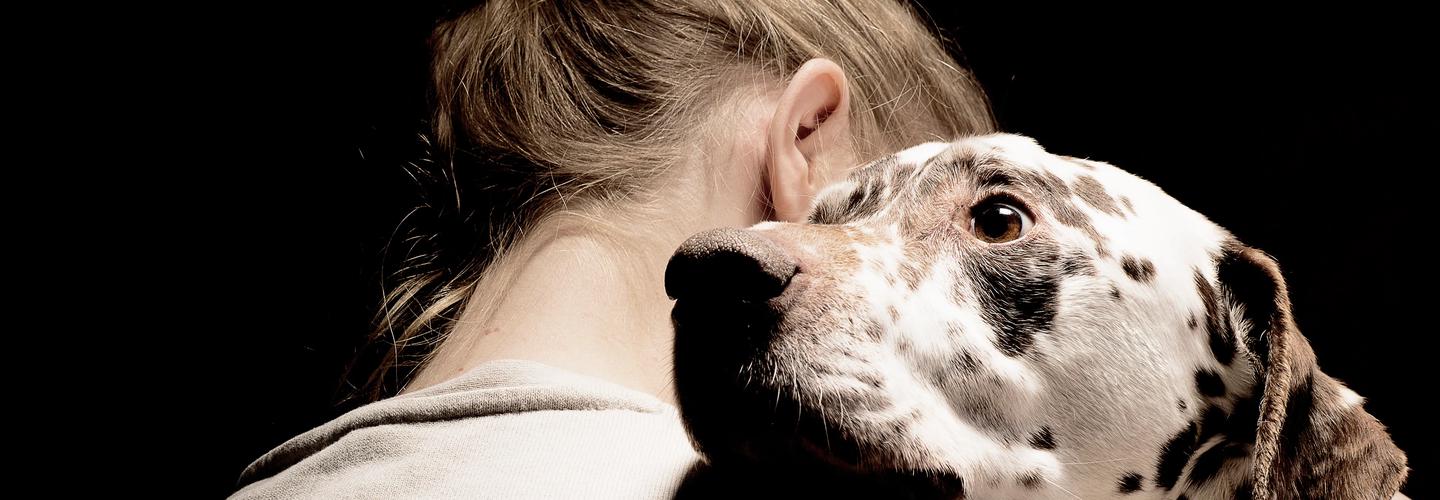 Sunset Veterinary Care cover photo