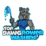 Top Dawg power washing - Home Services in Windermere