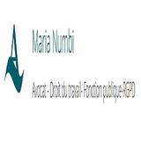 Maria Numbi Avocat - Legal Services in L'Ile-Saint-Denis