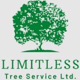 Limitless Tree Service - Tree Services in Abbotsford