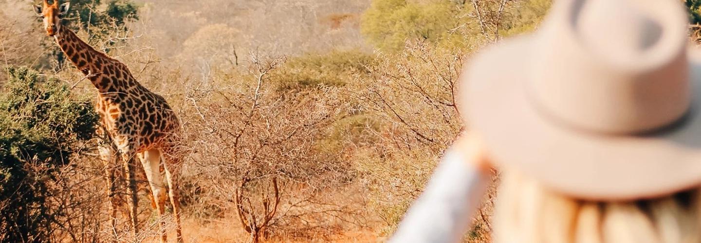 Find Your Africa cover photo