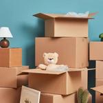 Plug Moves Ltd - photo 1