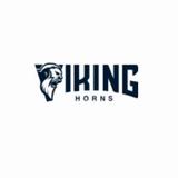 Viking Horns - Business Consulting in Florida