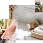 House of Willow Alexander - photo 1