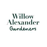 Willow Alexander Cleaners - Cleaning Services in Sidcup